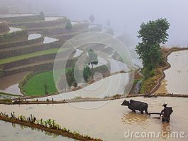 Petani Sejahtera, Petani yang Berjejaring