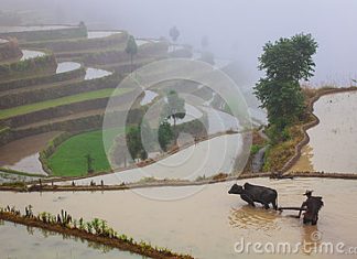 Petani Sejahtera, Petani yang Berjejaring