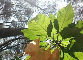 Jalan Meningkatkan Kualitas Hidup