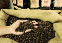 Seduhan Cerita Kopi Dan Fashion