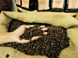 Seduhan Cerita Kopi Dan Fashion