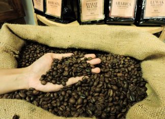 Seduhan Cerita Kopi Dan Fashion