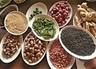 Mengembalikan Kejayaan Rempah Masa Lalu Rempah-rempah Copyroght www.sarinovita.com