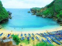 Jelajahi Cagar Alam Terkenal di Indonesia