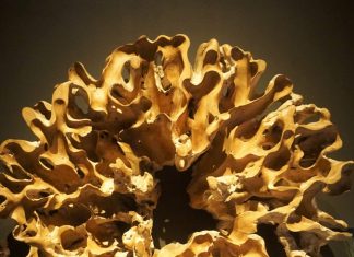 Vong Kitchen: Dari Dapur New York City Sampai Ke Jakarta Vong Kitchen. Photo: www.sarinovita.com