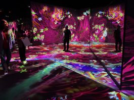 Keindahan Seni Digital Interaktif teamLab Future Park Jakarta di Gandaria City Pameran Seni Digital Interaktif teamlab Future Park - sarinovita.com
